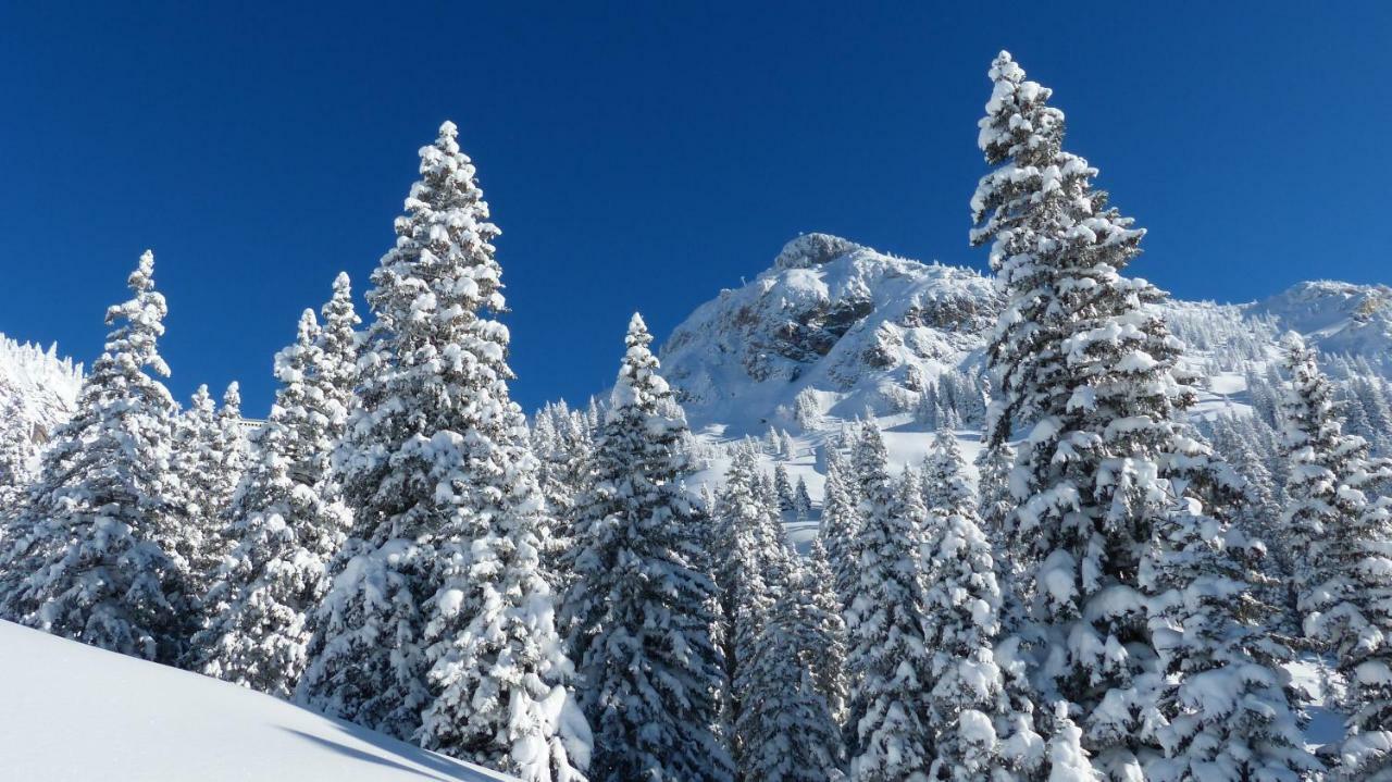 Am Gehren - Arlberg * Warth (Vorarlberg)